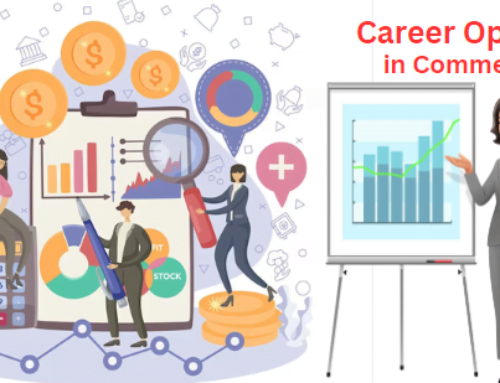 Best Career Options in Commerce Stream: Overview, Roles, and Salaries